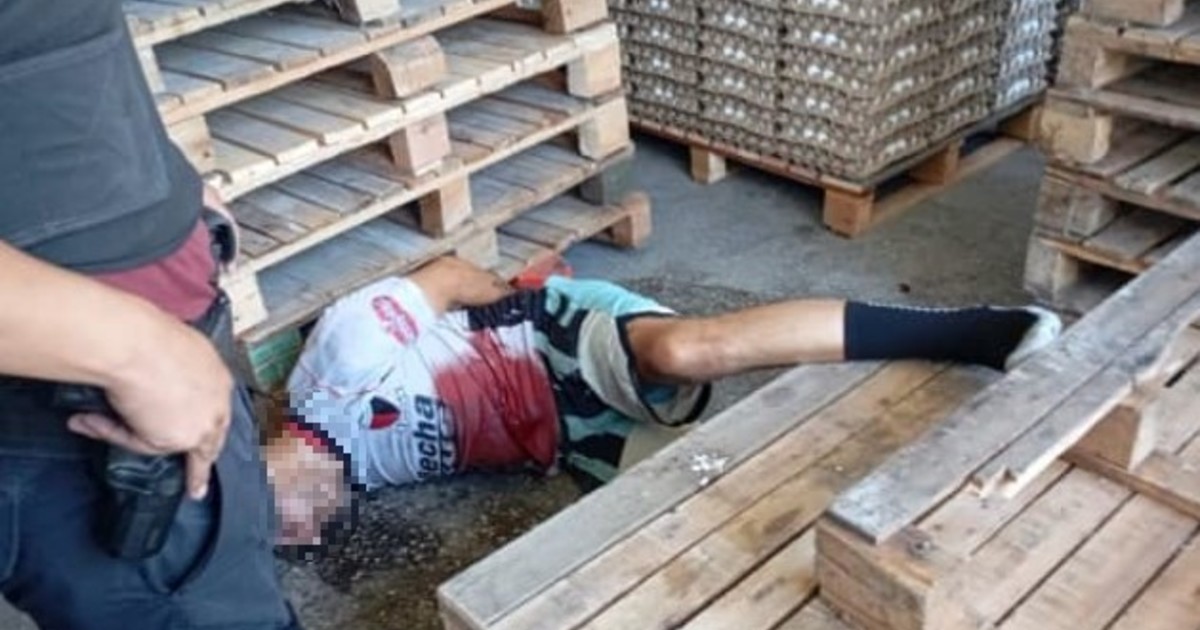 «ya-esta,-hermano,-me-rompiste-la-panza»:-la-suplica-de-un-ladron-baleado-en-un-deposito-de-huevos-en-parque-avellaneda