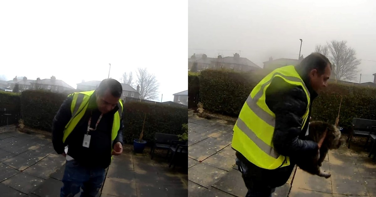 un-repartidor-de-amazon-robo-una-gata-mientras-hacia-una-entrega:-todo-quedo-grabado