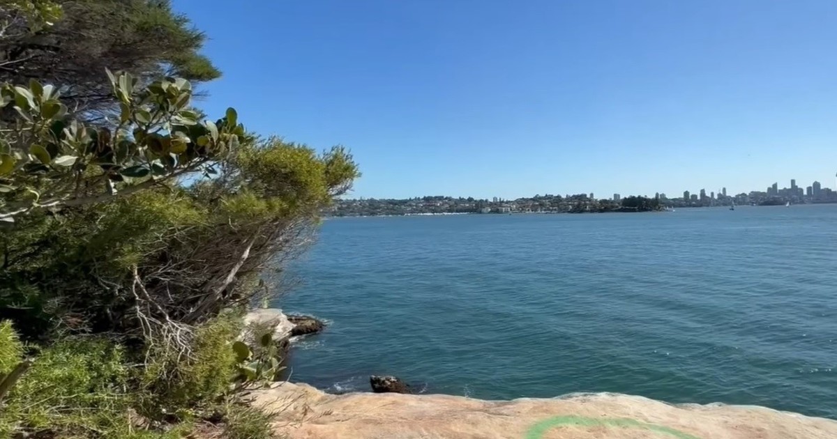 australia:-murio-un-chico-de-12-anos-tras-ser-atacado-por-un-tiburon-mientras-jugaba-en-el-agua-con-sus-amigos