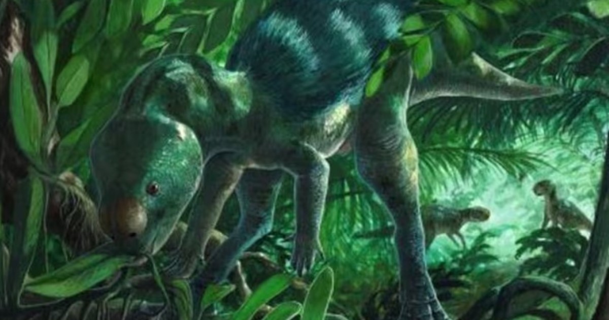hallaron-los-huesos-del-dinosaurio-mas-pequeno-del-mundo