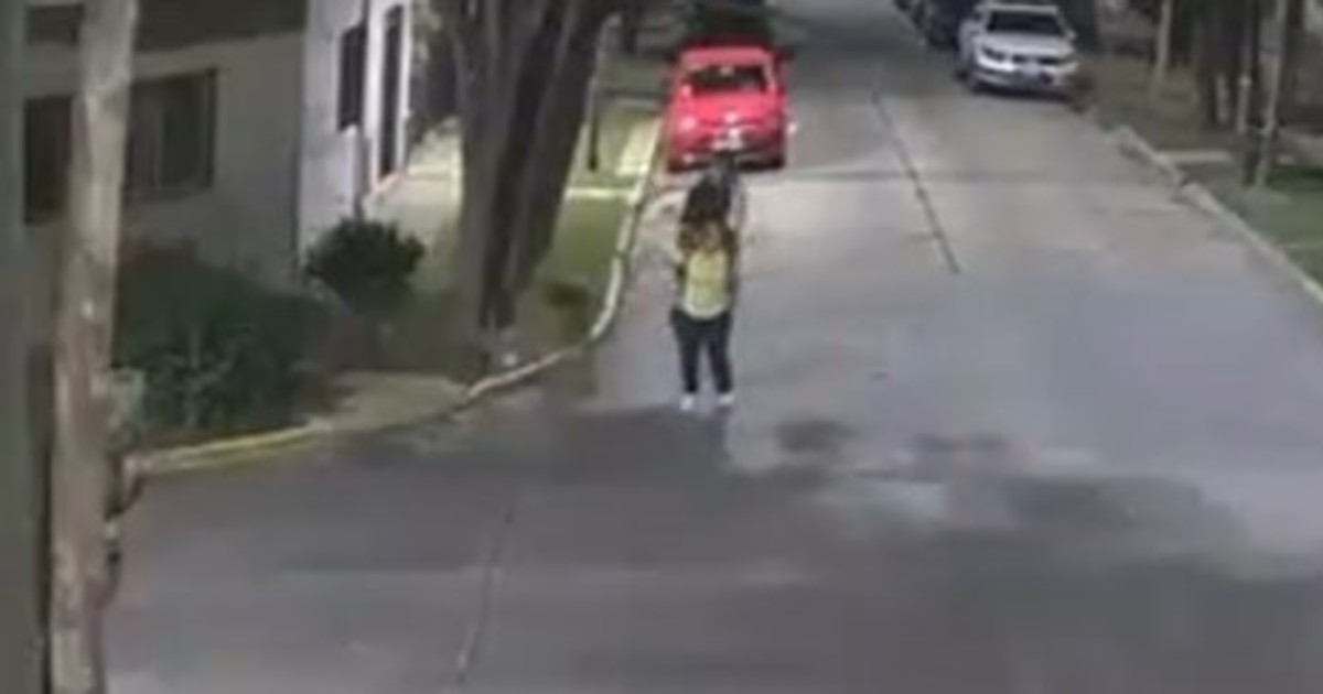 vicente-lopez:-agredio-a-una-mujer-por-la-espalda-con-una-patada-karateca-para-robarle