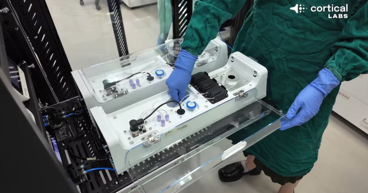 crean-una-computadora-con-neuronas-humanas-vivas-que-aprendio-a-jugar-doom:-como-es