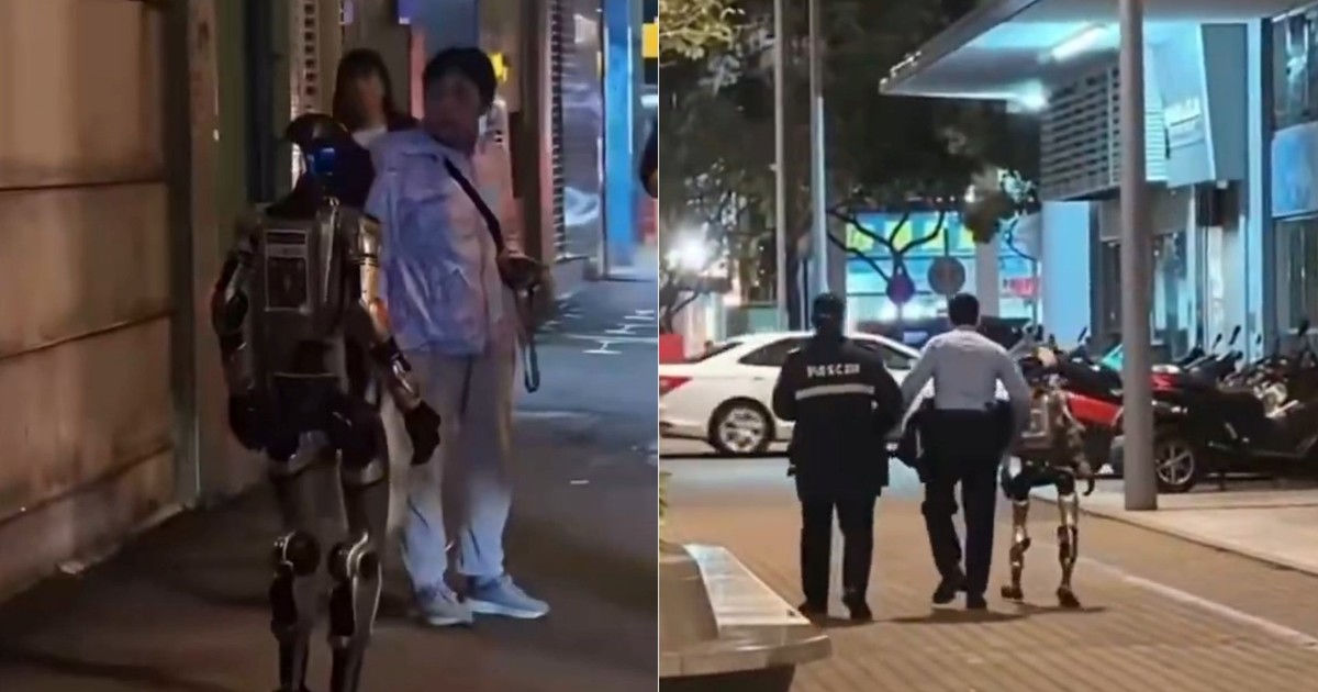 detuvieron-a-un-robot-por-horrorizar-a-una-mujer-en-la-calle:-tuvo-que-ser-hospitalizada