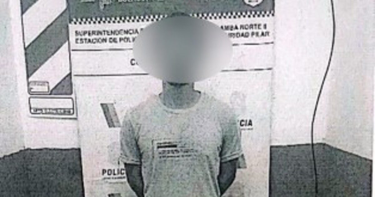 el-plan-siniestro-de-un-hijo-para-matar-a-su-madre:-la-encerro-en-una-camara-frigorifica-y-le-robo-30-millones-de-pesos