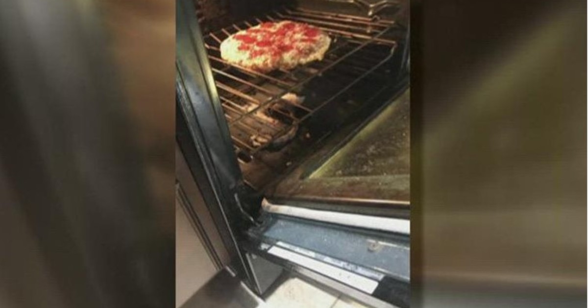 cocinaban-una-pizza-y-sin-darse-cuenta-tambien-cocinaron-una-serpiente