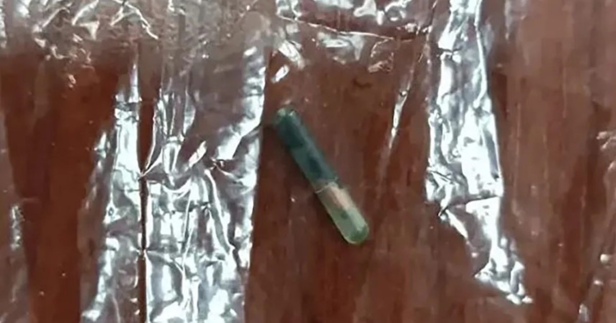 encontro-un-microchip-en-su-plato-y-se-entero-lo-que-habia-comido
