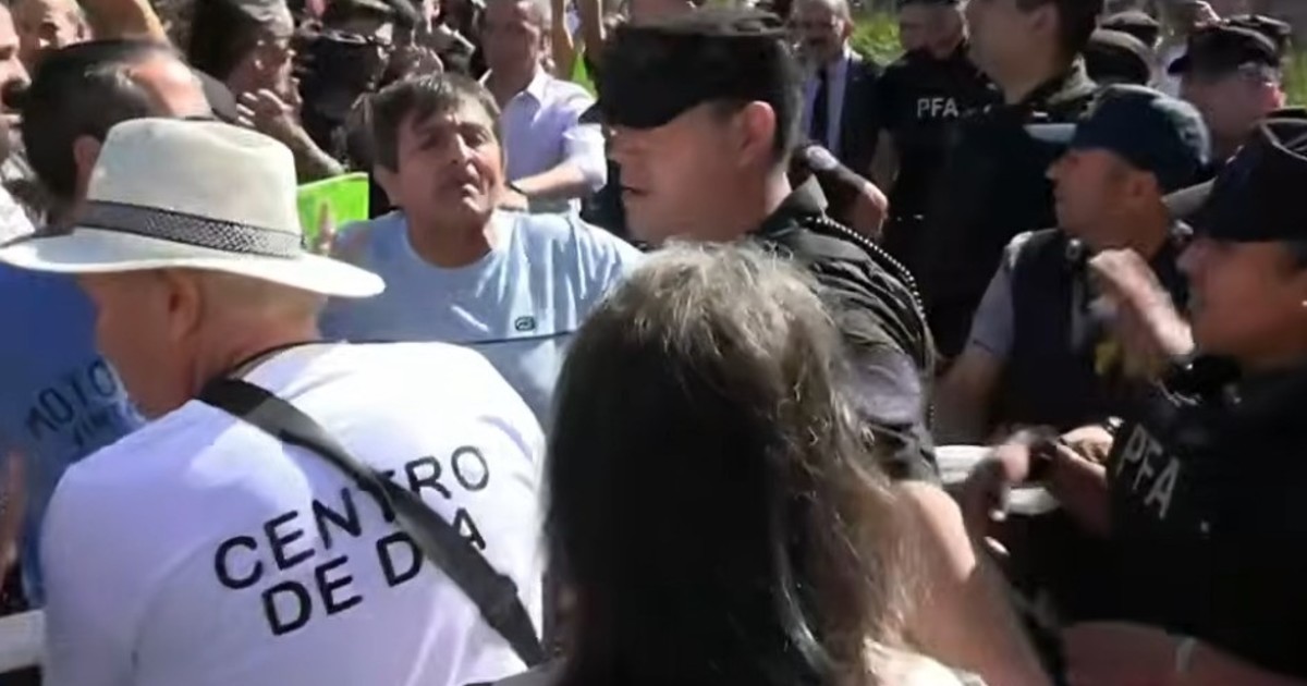 incidentes-en-una-protesta-contra-la-reforma-de-milei-a-la-ley-de-discapacidad:-«esta-en-silla-de-ruedas,-no-se-puede-defender»