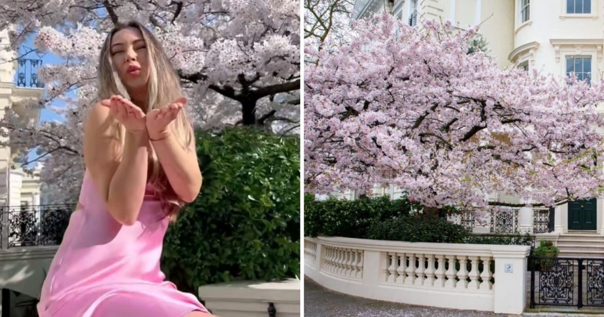 cada-ano,-una-multitud-de-influencers-se-saca-fotos-en-un-exclusivo-barrio:-los-propietarios-contrataron-personal-de-seguridad-para-evitarlo