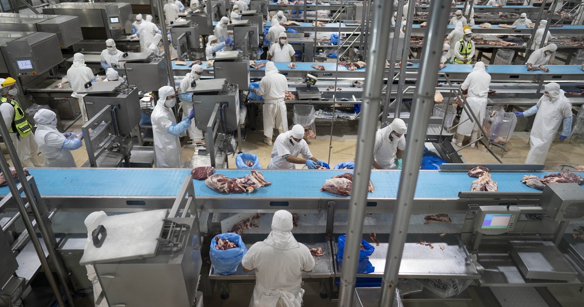 crecio-mas-del-30%-el-ingreso-de-dolares-en-el-primer-bimestre-del-ano-por-las-exportaciones-de-carne-vacuna