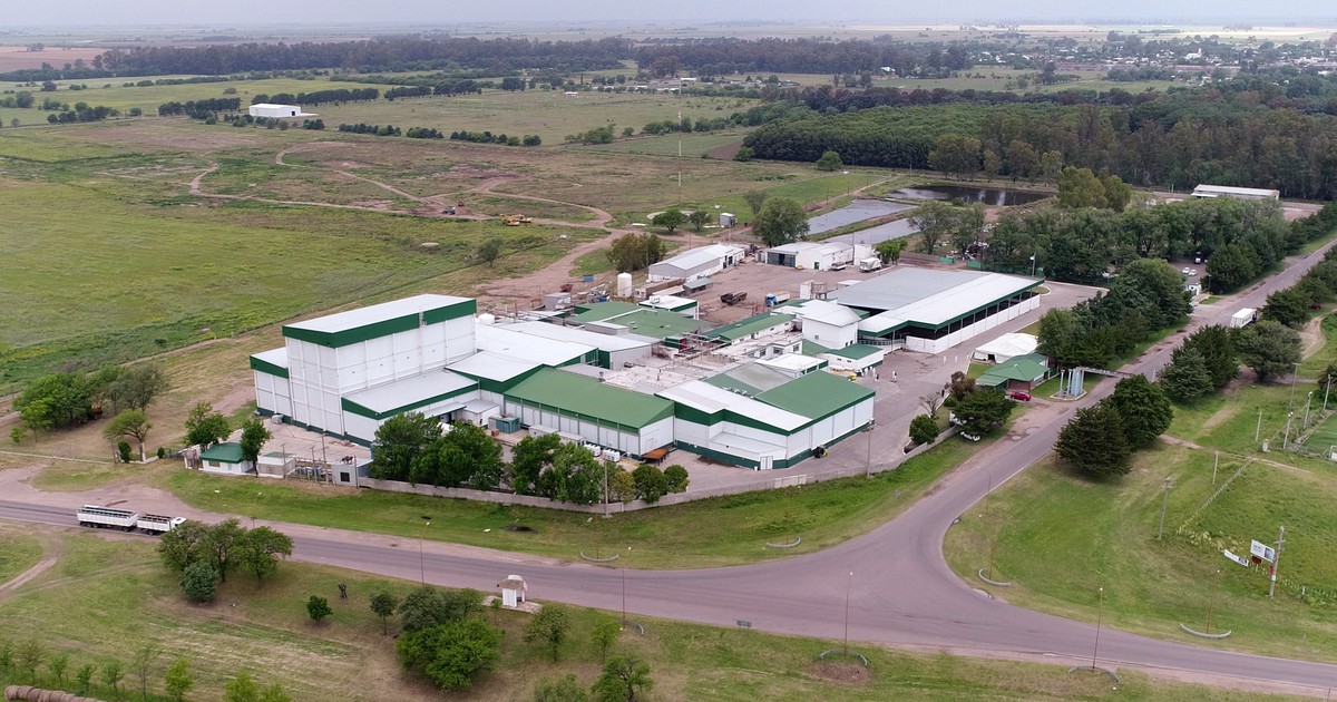 en-medio-de-despidos-y-una-deuda-millonaria,-el-frigorifico-que-invento-las-hamburguesas-paty-inicio-el-proceso-de-concurso-preventivo-de-acreedores