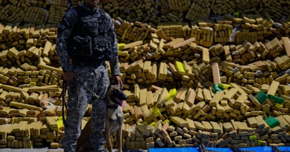 un-perro-policia-encontro-un-cargamento-de-marihuana-de-48-toneladas