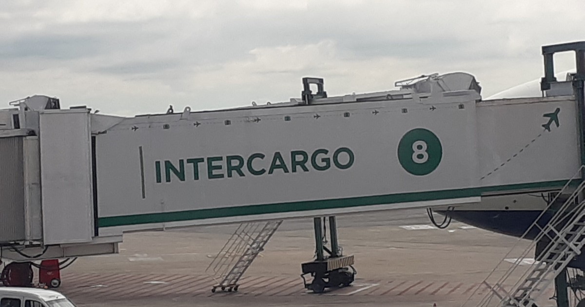 privatizacion-de-intercargo:-el-gobierno-extendio-un-mes-el-plazo-para-recibir-ofertas-y-dejo-afuera-una-parte-del-servicio