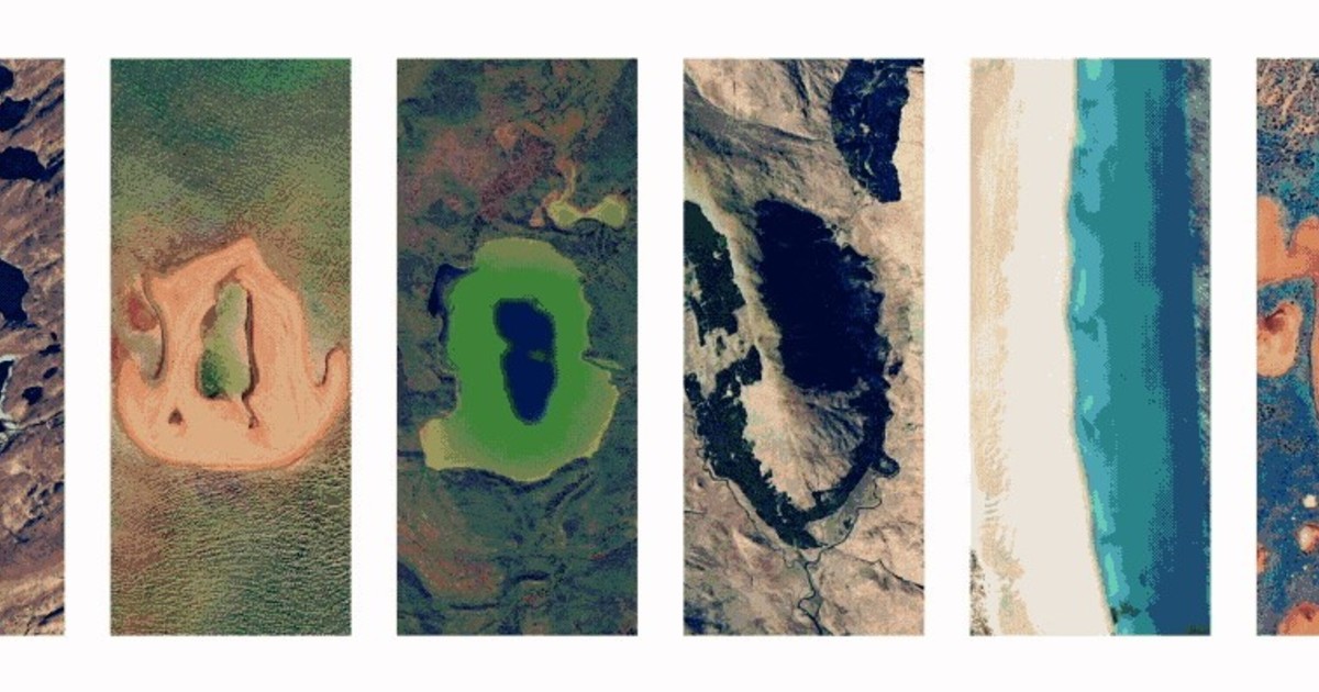 google-conmemora-el-dia-de-la-tierra-2026-con-un-doodle-interactivo