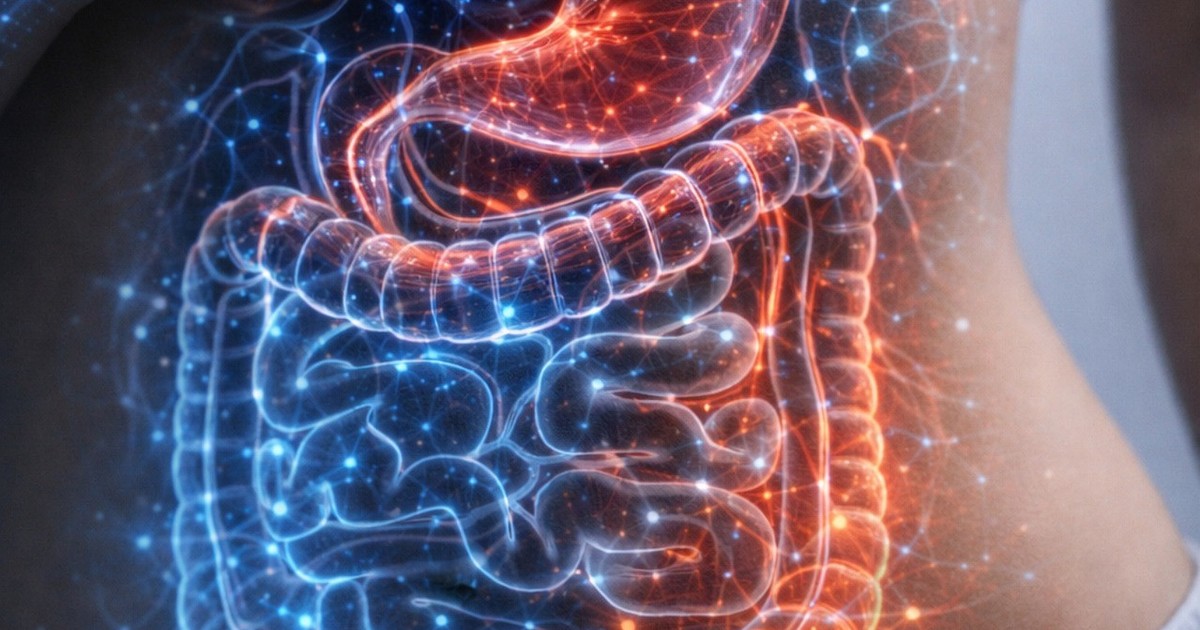 sindrome-del-intestino-permeable:-que-es,-como-se-trata-y-como-saber-si-lo-tenes